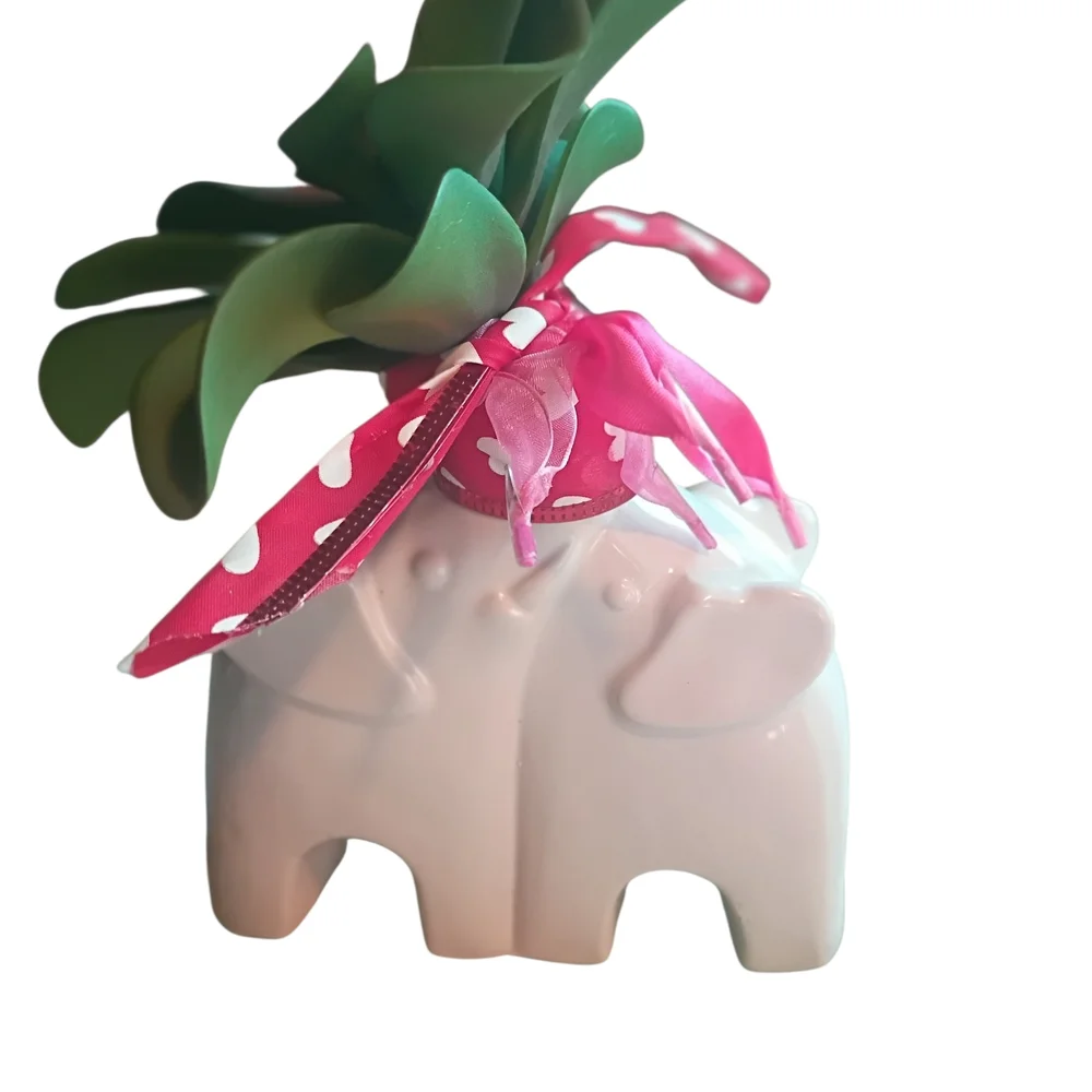 White Elephant Planter with Green Succulent